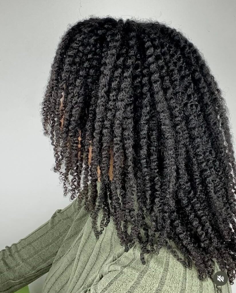 easy natural hair, cheveux crépus, twists, coaching capillaire, cheveux frisés, cheveux afros, cheveux bouclés, suivi capillaire, cheveux naturels, pousse de cheveux